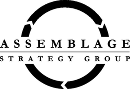 assemblage strategy group