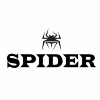 spider