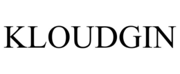 kloudgin