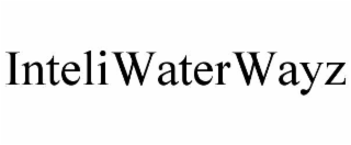 inteliwaterwayz