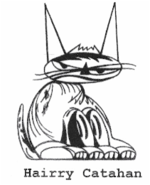 hairry catahan