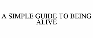a simple guide to being alive