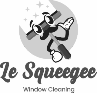 le squeegee window cleaning