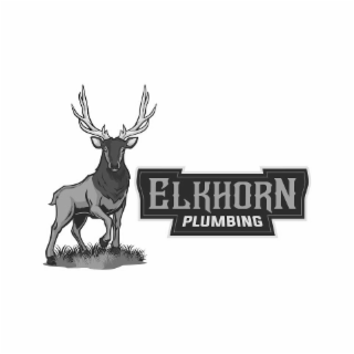elkhorn plumbing