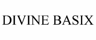 divine basix
