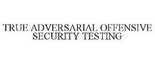 true adversarial offensive security testing