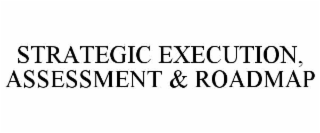 strategic execution, assessment & roadmap