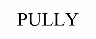 pully