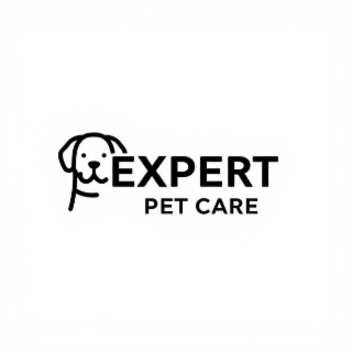 expert pet care