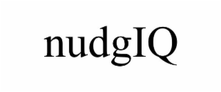 nudgiq