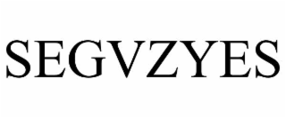 segvzyes