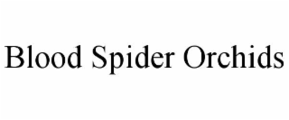 blood spider orchids