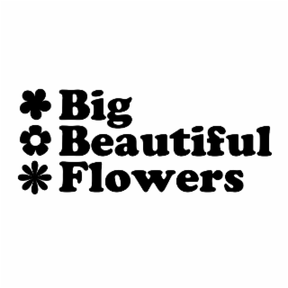 big beautiful flowers