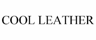 cool leather