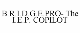 b.r.i.d.g.e.pro- the i.e.p. copilot