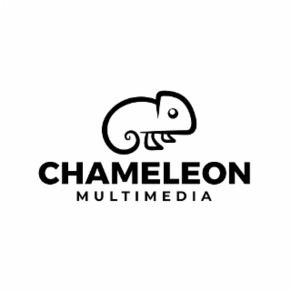 chameleon multimedia