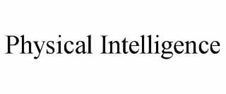physical intelligence
