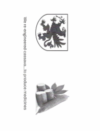 we re-engineered cassava...to produce medicines