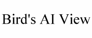 bird's ai view