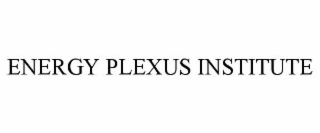 energy plexus institute