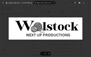 woolstock up next productions
