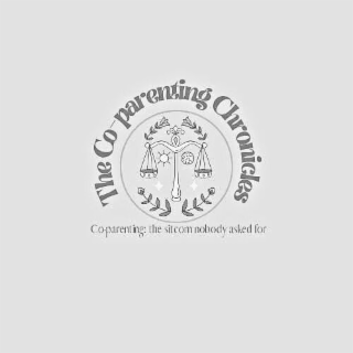 the co-parenting chronicles - coparenting: the sitcom nobody asked for