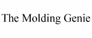 the molding genie