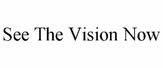 see the vision now