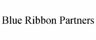 blue ribbon partners