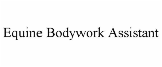 equine bodywork assistant
