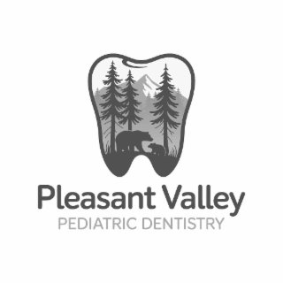 pleasant valley pediatric dentistry