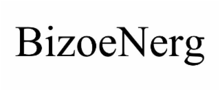 bizoenerg