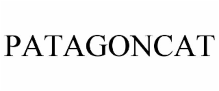 patagoncat