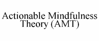 actionable mindfulness theory (amt)