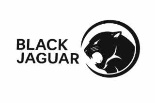 black jaguar