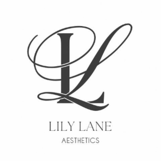 lily lane aesthetics and the stylized letters ll