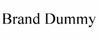 brand dummy