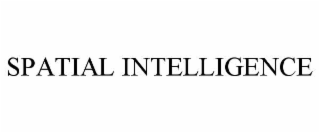 spatial intelligence