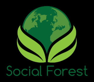 social forest - abundant sustainable qualified connections