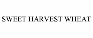 sweet harvest wheat