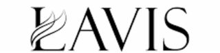 lavis