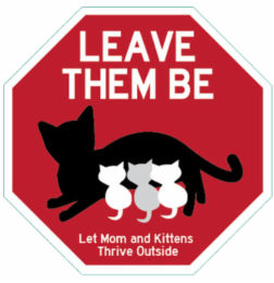 leave them be let mom and kittens thrive outside