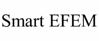 smart efem