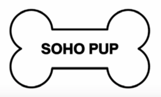 soho pup