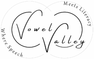 vowel valley where speech meets literacy