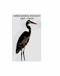 birds words podcast grit + faith