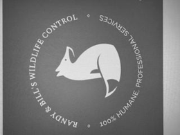 randy & bill's wildlife control 100% humane. professional services