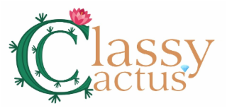 classy cactus