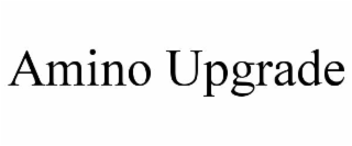 amino upgrade