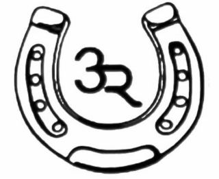 3r